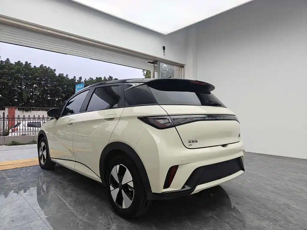 BYD Dolphin — миниатюра 6