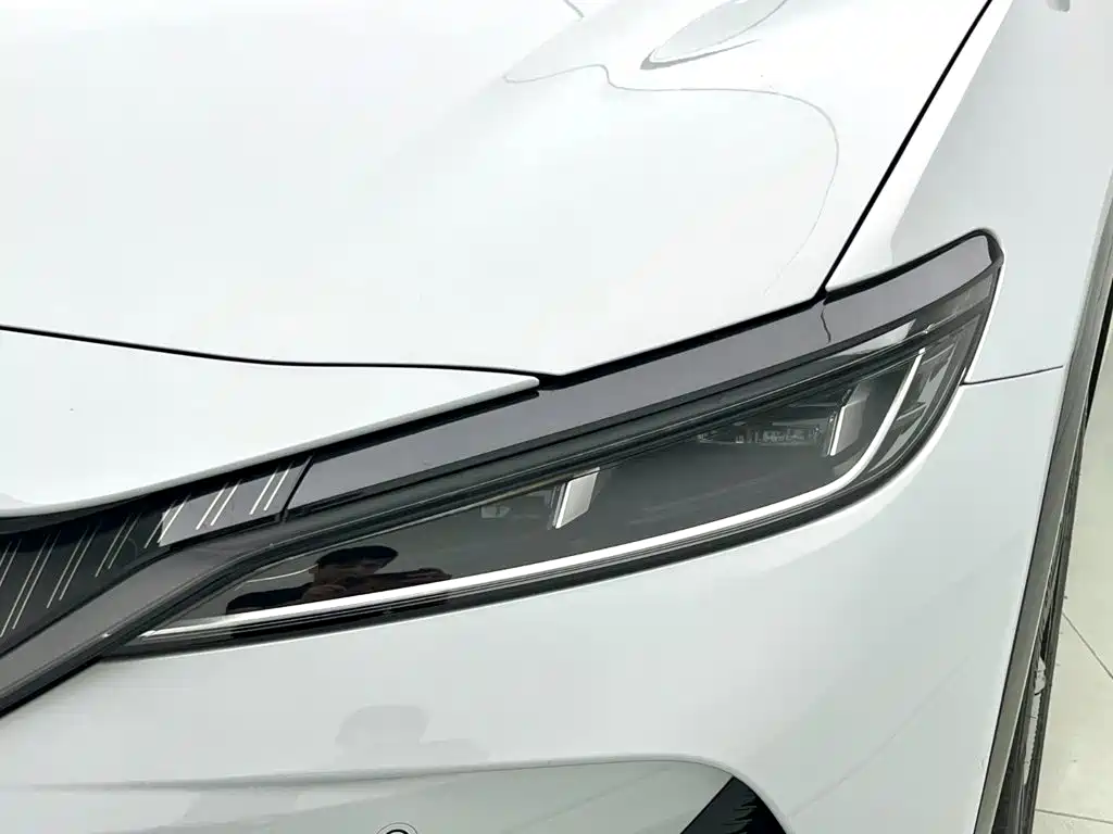 BYD L EV — миниатюра 5