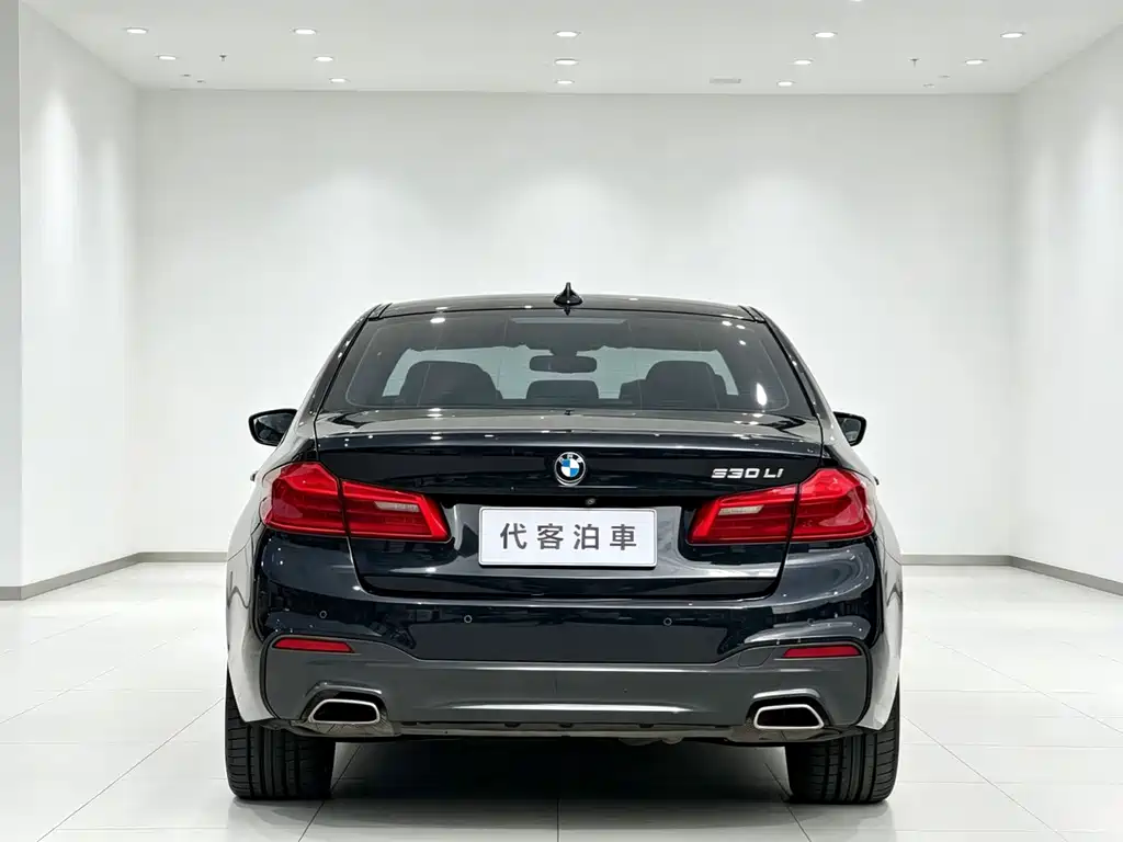 BMW 5 Series — миниатюра 8