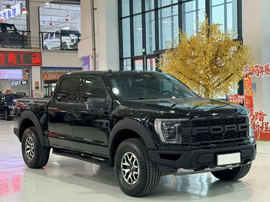 FORD F 150 RAPTOR