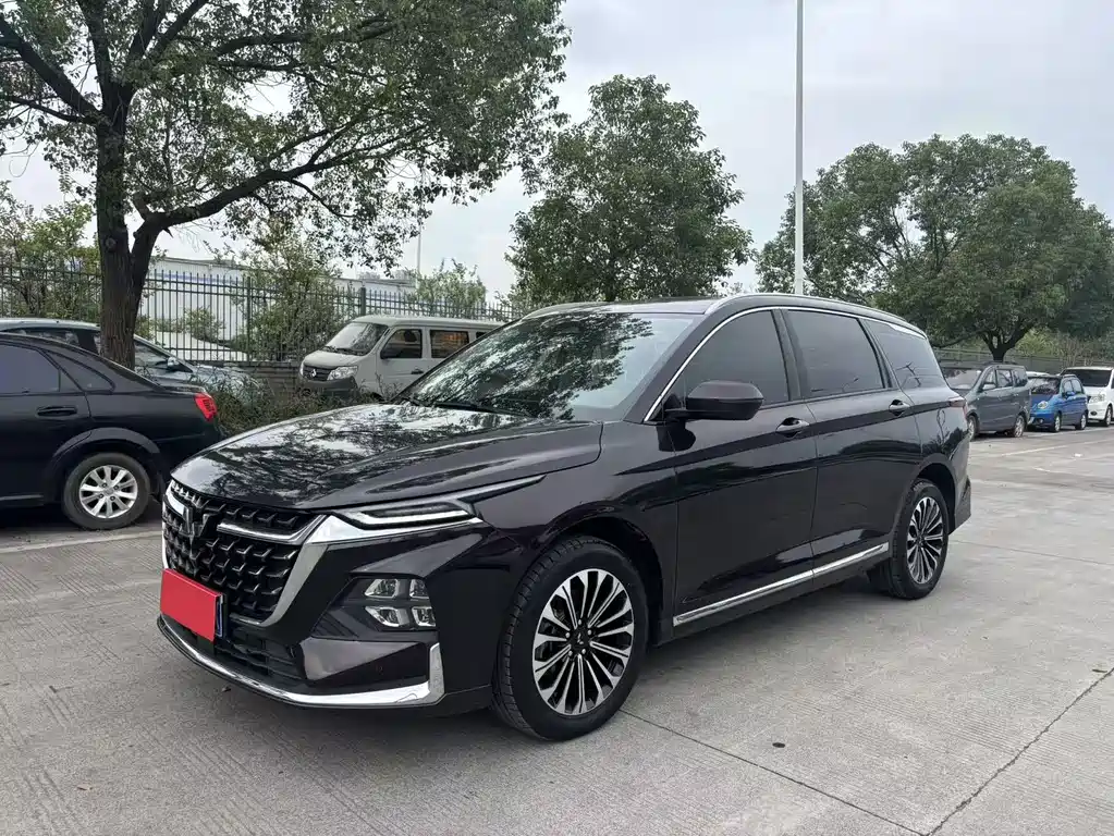 Wuling Victory — миниатюра 3