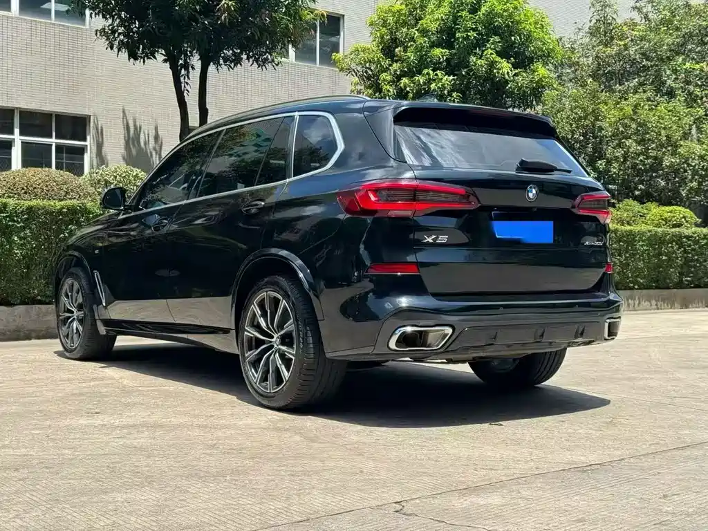 BMW X5 — миниатюра 9