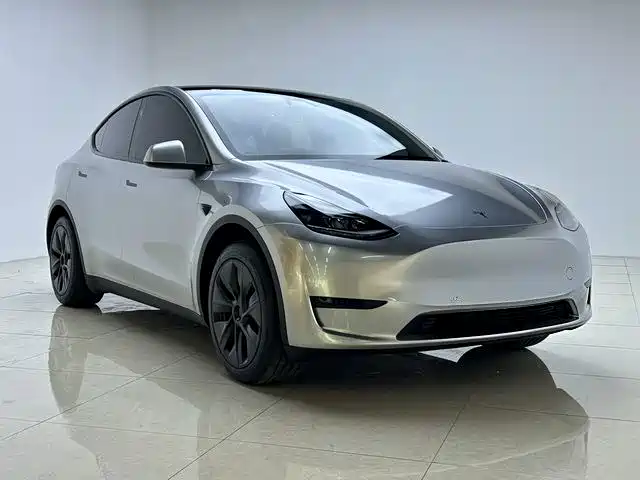 Tesla Model Y — миниатюра 3