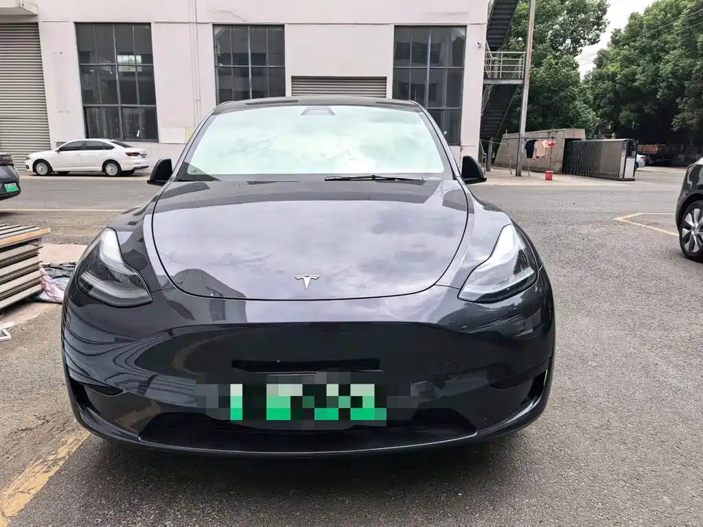 Tesla Model Y — миниатюра 2