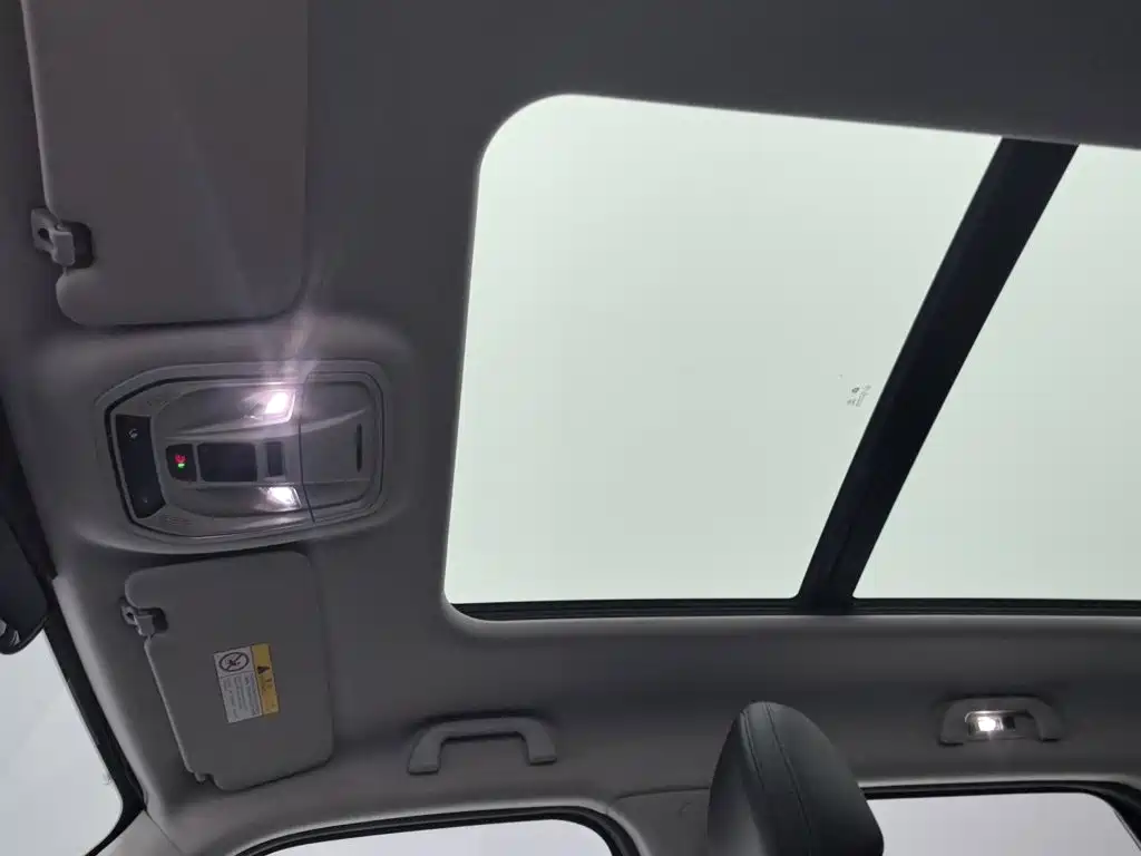 Haval Haval Big Dog PLUS — миниатюра 14
