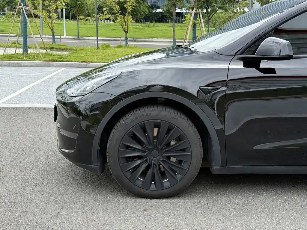 Tesla Model Y — миниатюра 4