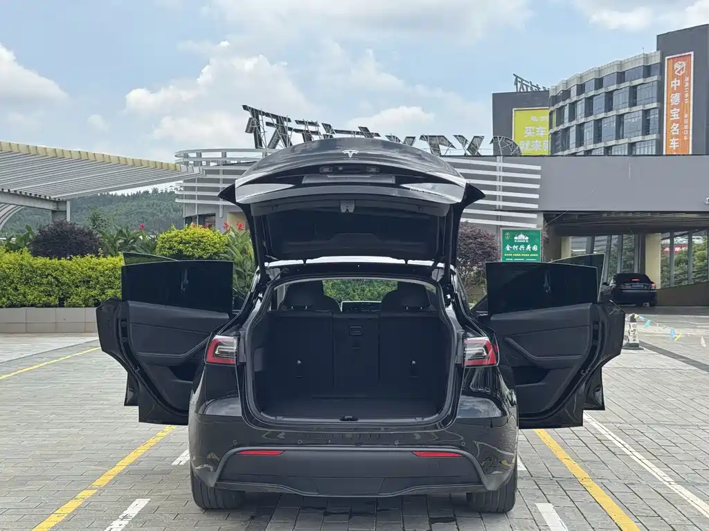 Tesla Model Y — миниатюра 18