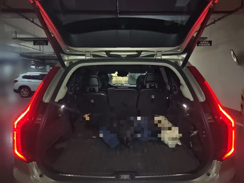Volvo XC90 — миниатюра 10