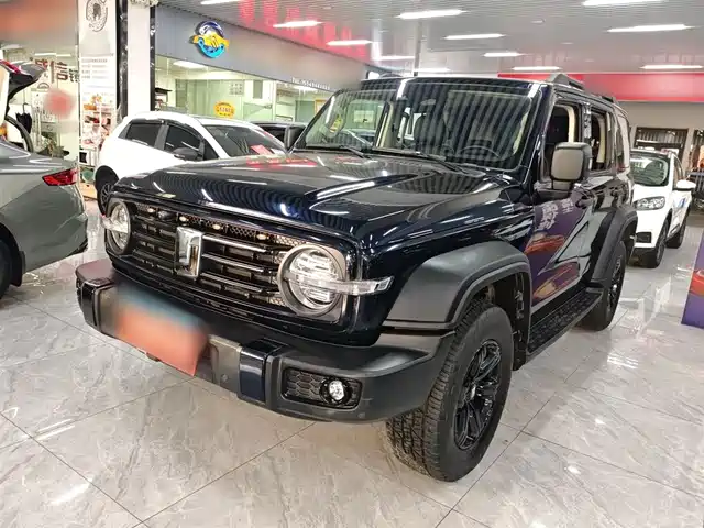 2023 TANK 300
