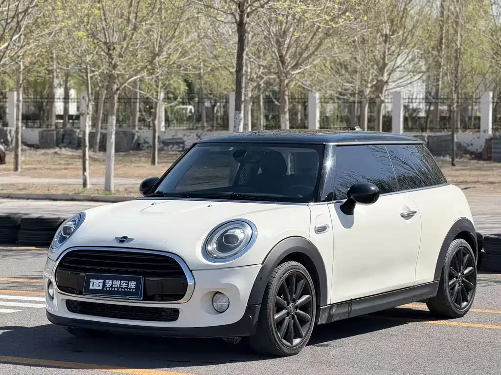 Mini Mini 2019