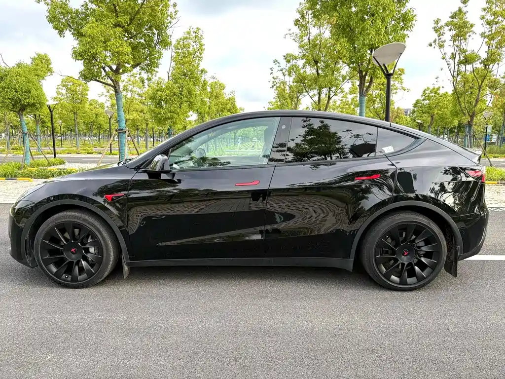 Tesla Model Y — миниатюра 11