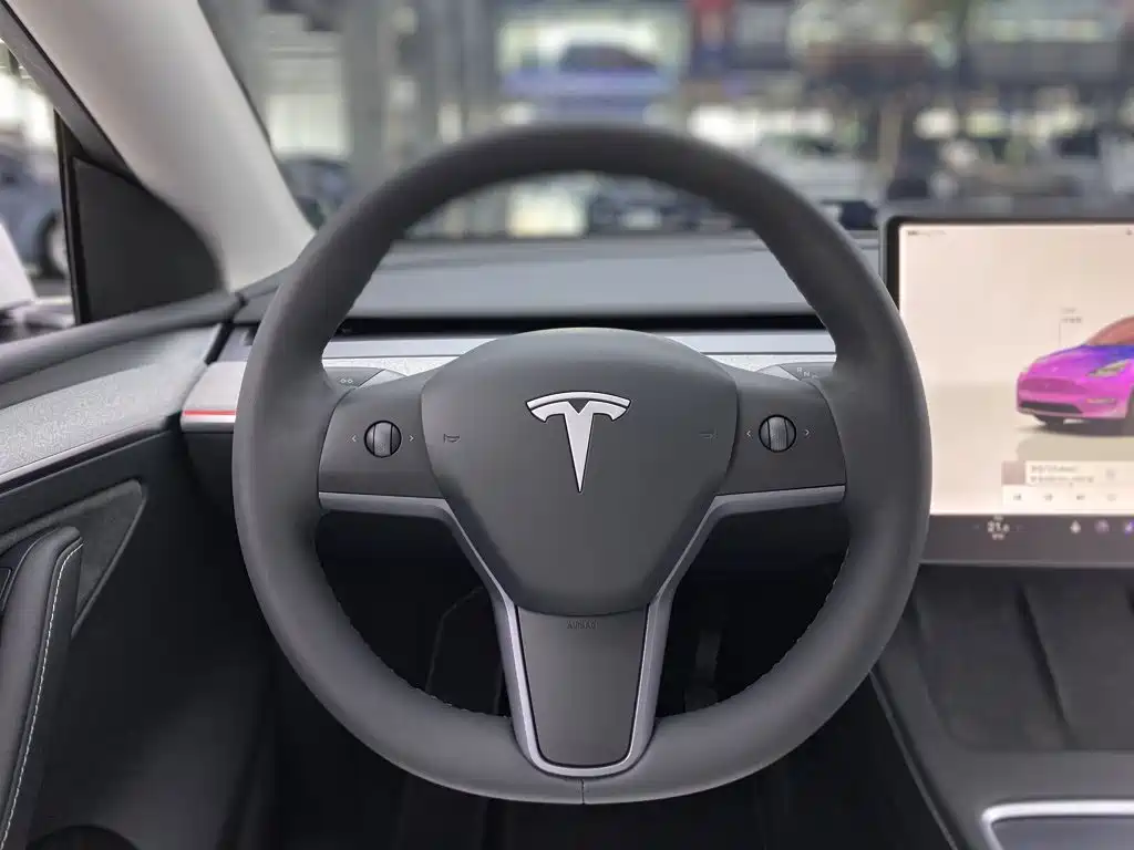 Tesla Model Y — миниатюра 16