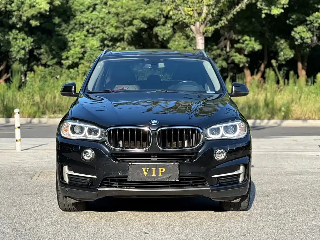 BMW X5 (Import) — миниатюра 2