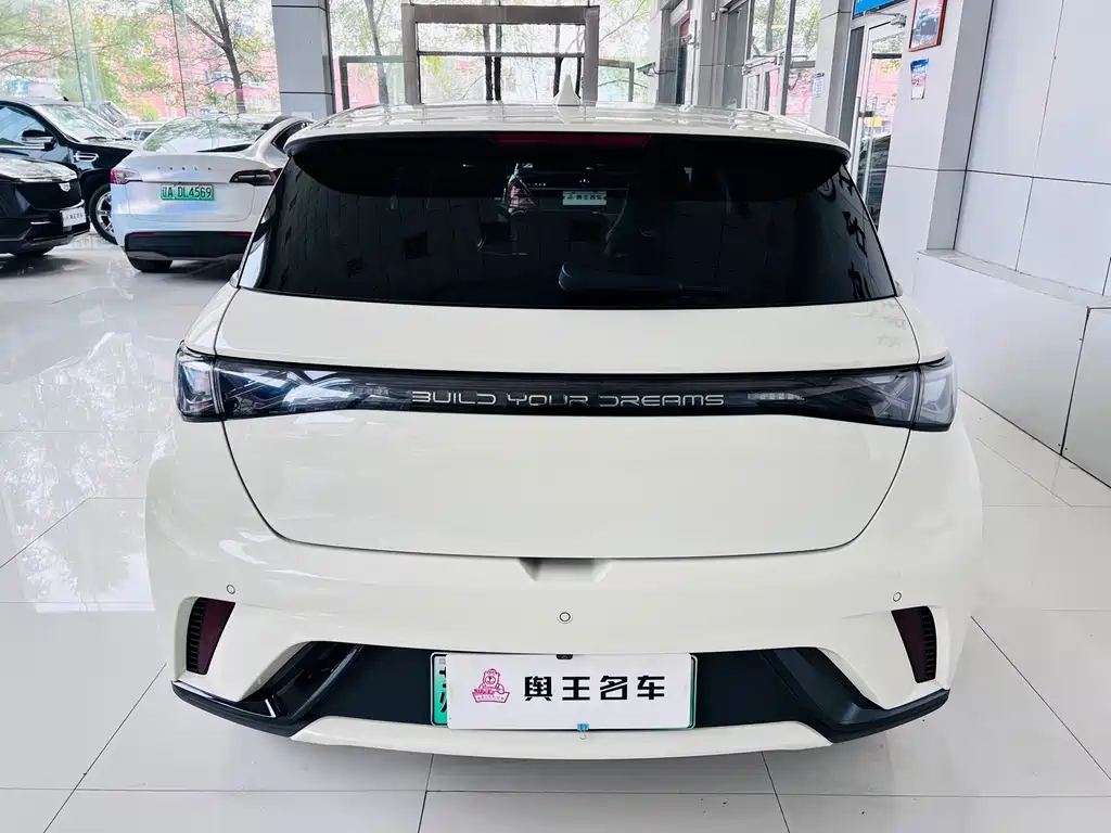 BYD Dolphin — миниатюра 5