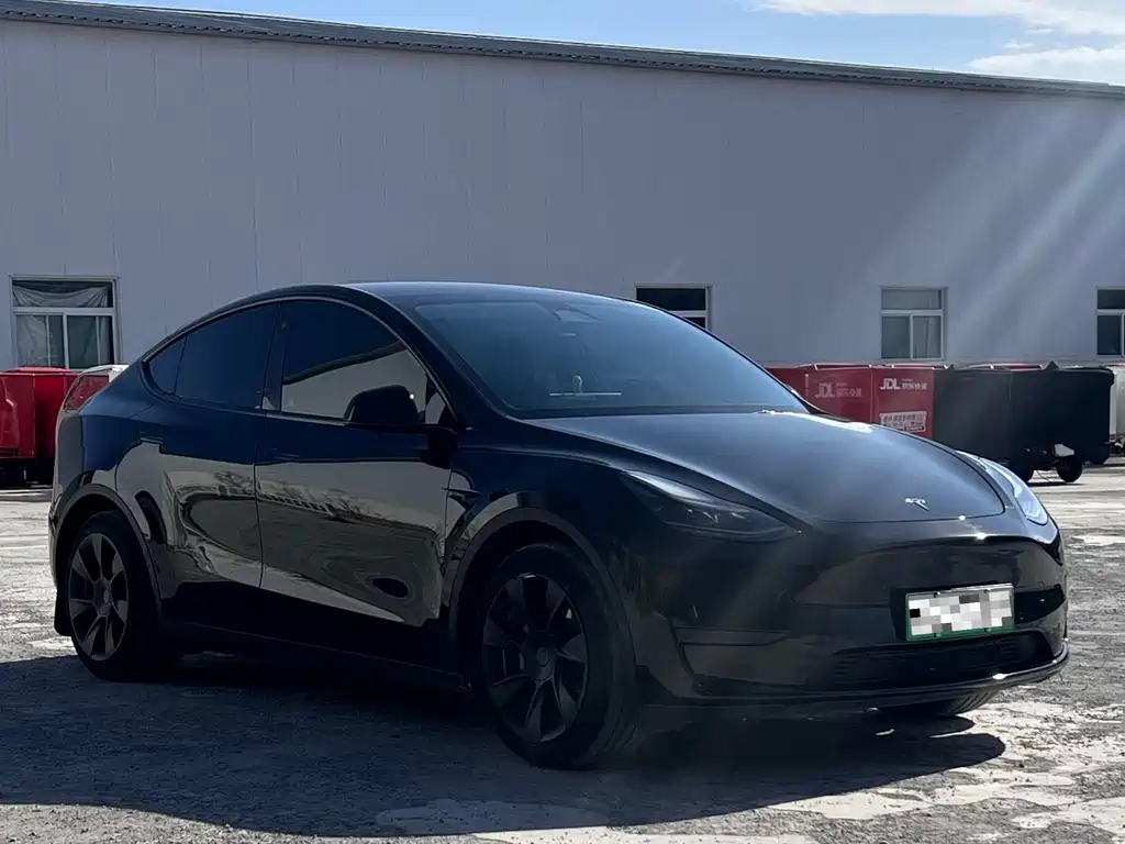 Tesla Model Y — миниатюра 3