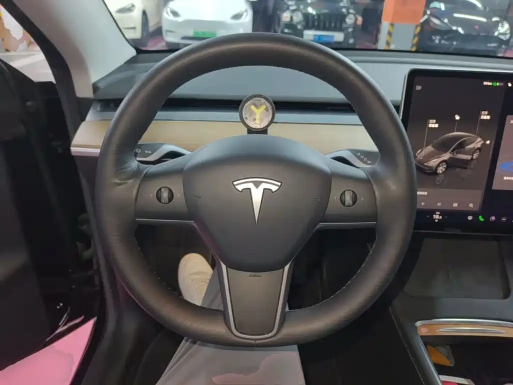 Tesla Model Y — миниатюра 11