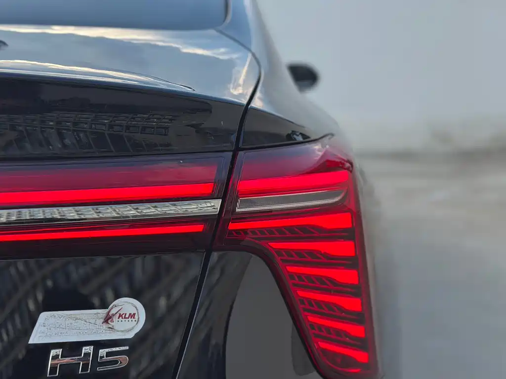 Hongqi Hongqi H5 — миниатюра 19