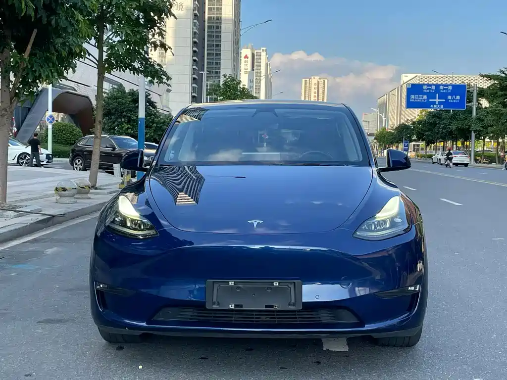 Tesla Model Y — миниатюра 2