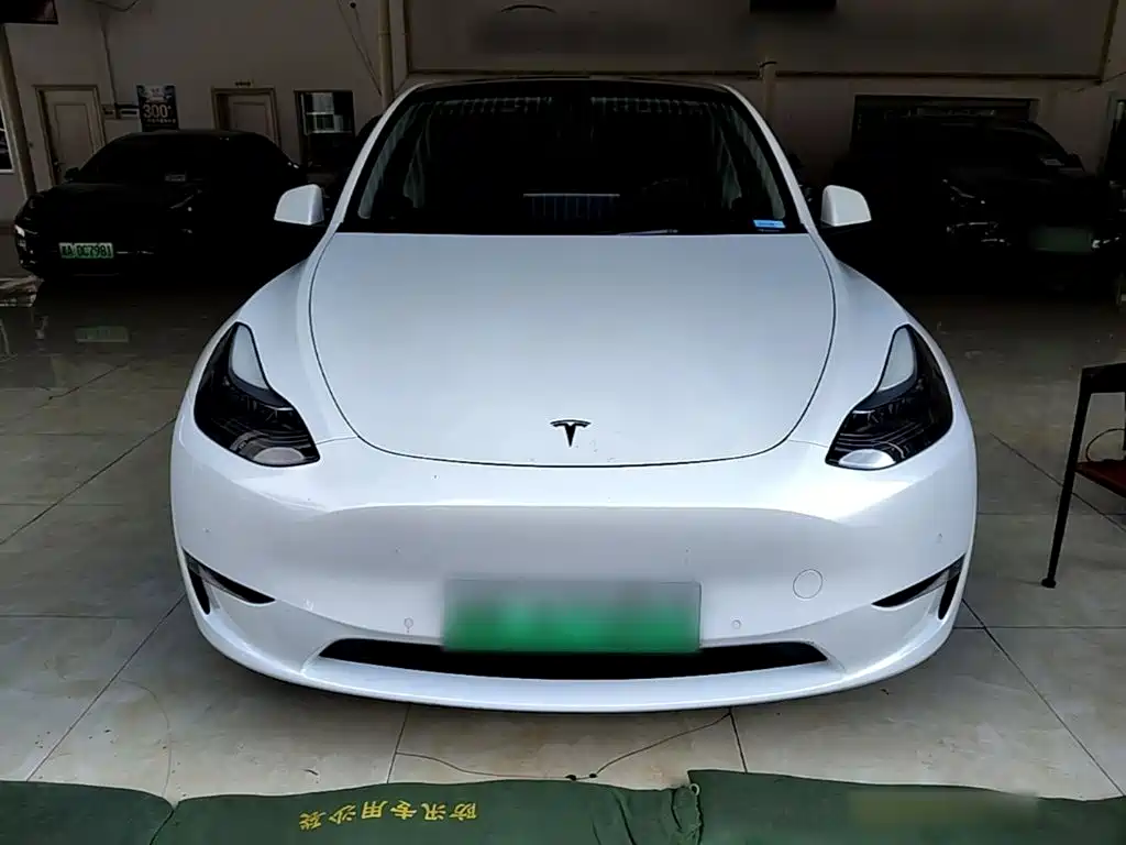 Tesla Model Y — миниатюра 3