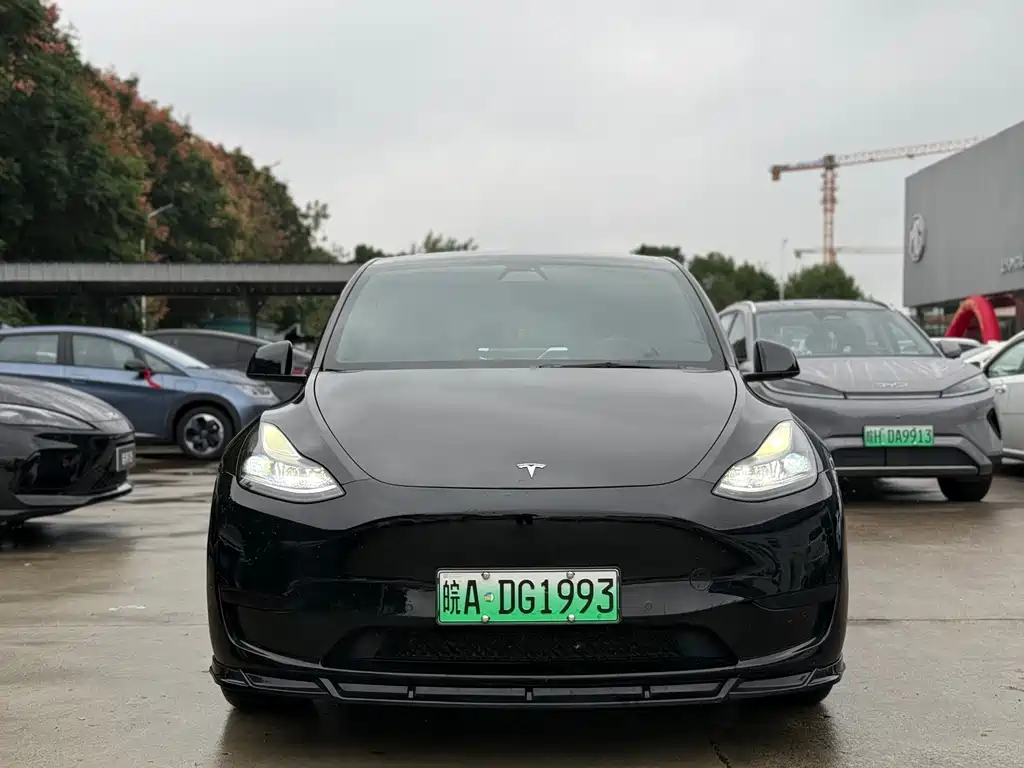 Tesla Model Y — миниатюра 2