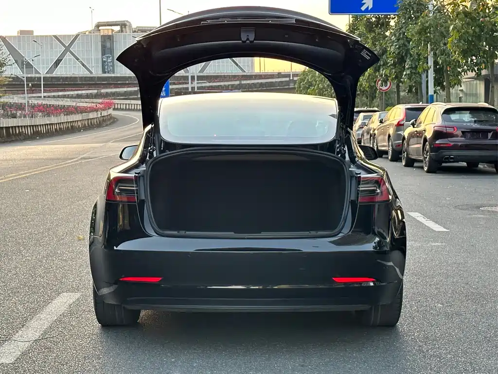 Tesla Model 3 — миниатюра 17