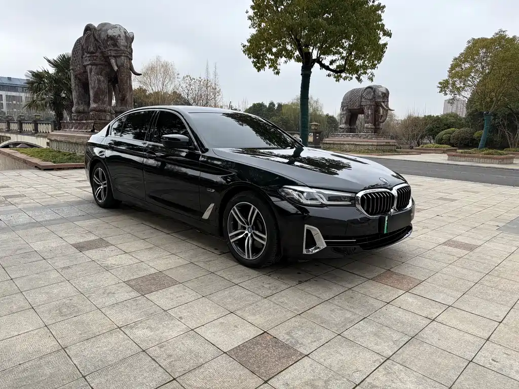 BMW 5 SERIES NEW ENERGY
