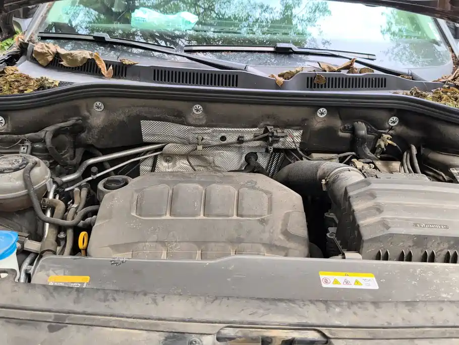 Volkswagen Tavendor — миниатюра 10