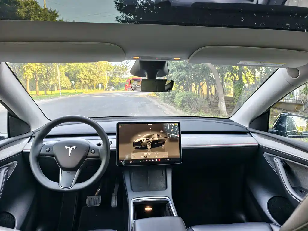 Tesla Model Y — миниатюра 10