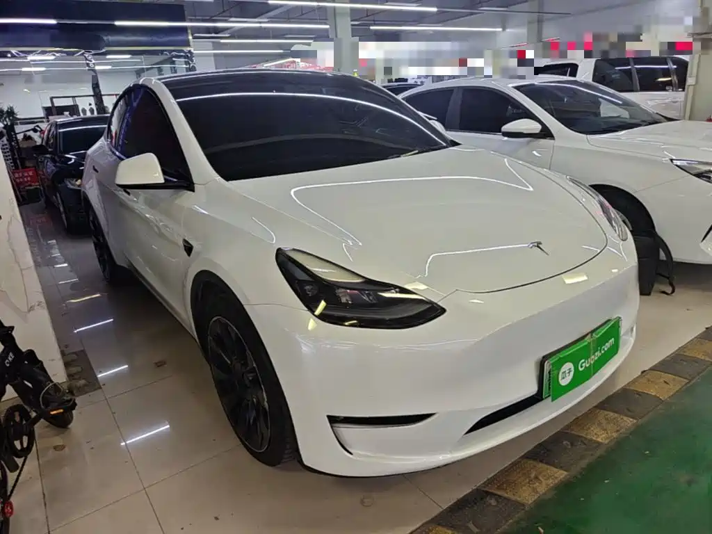 Tesla Model Y — миниатюра 4
