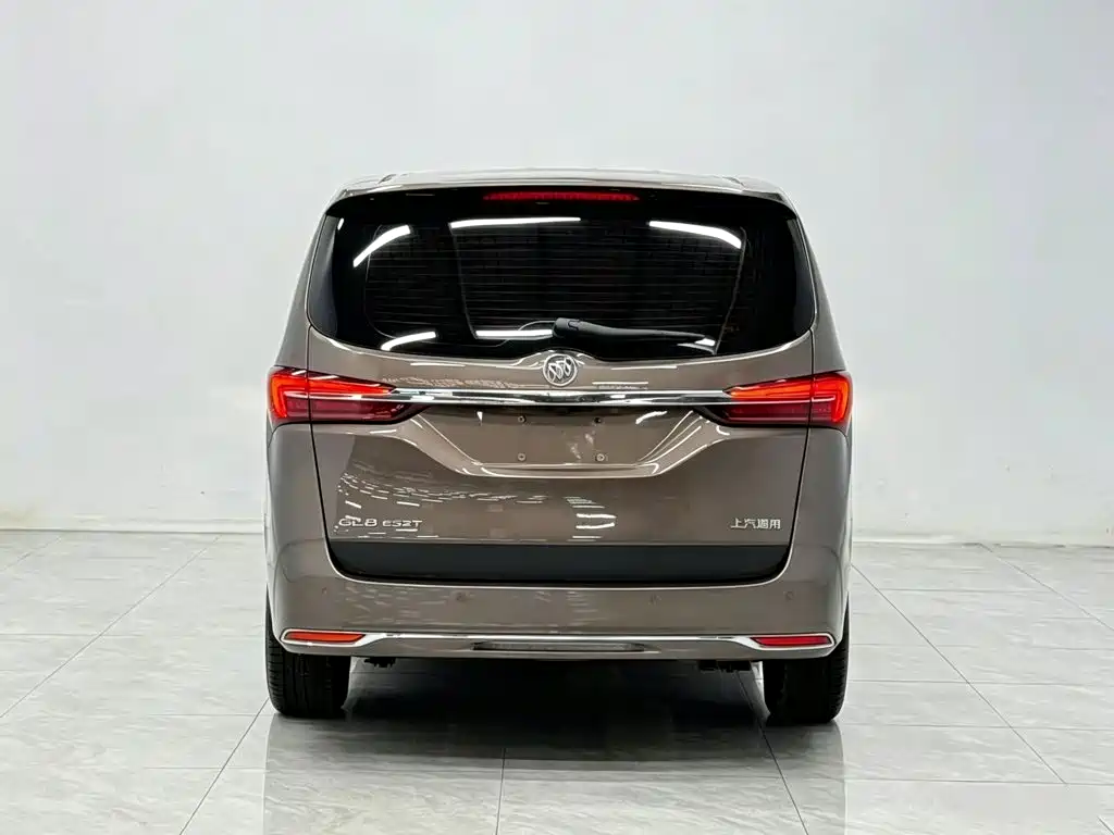 Buick GL8 — миниатюра 6