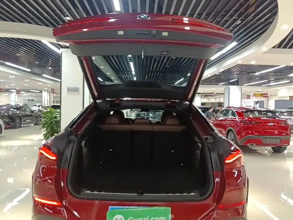 BMW X6 — миниатюра 19