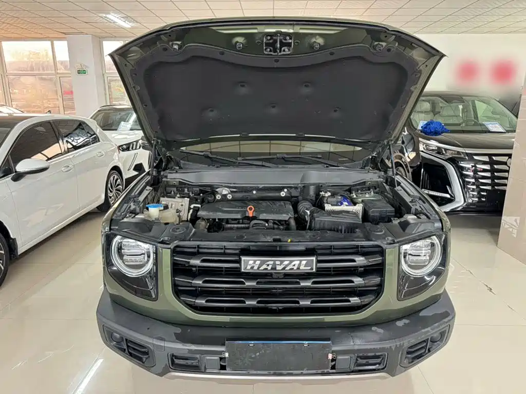 Haval Big Dog — миниатюра 24