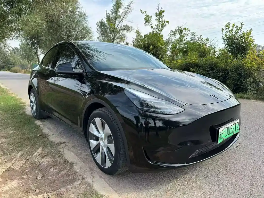 Tesla Model Y — миниатюра 3