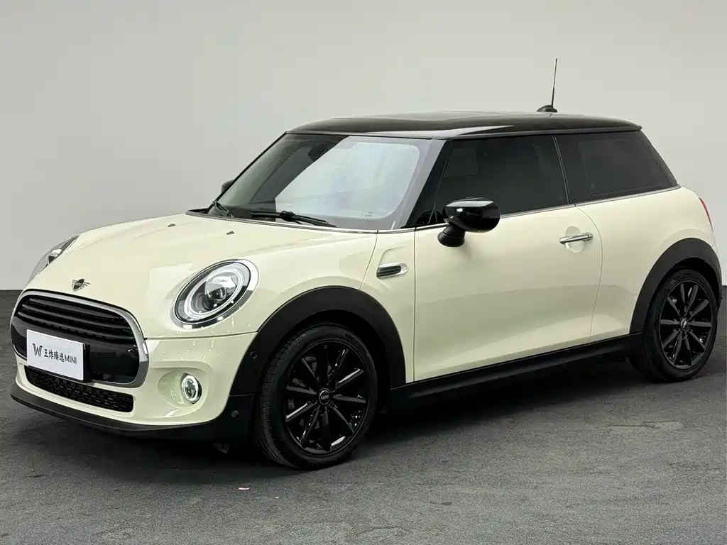 Mini Mini 2020