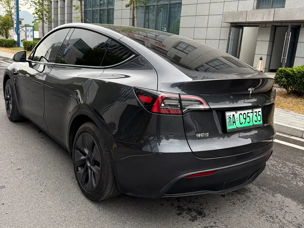 Tesla Model Y — миниатюра 9