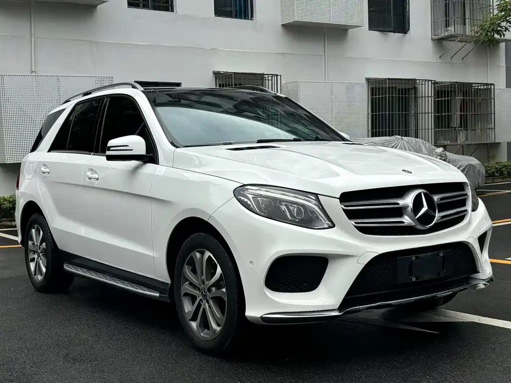 Mercedes-Benz 奔驰GLE(进口) — миниатюра 2