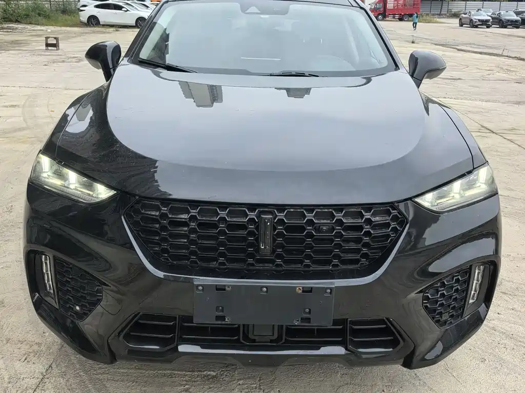 WEI PAI WEI BRAND VV7