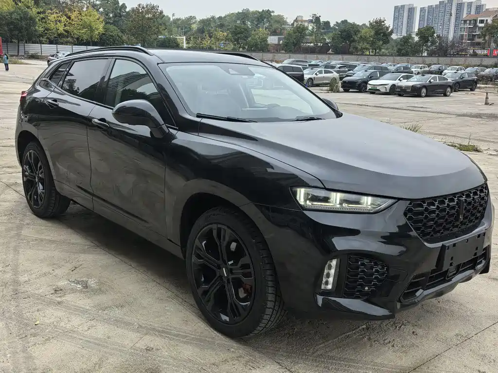 WEI PAI WEI BRAND VV7