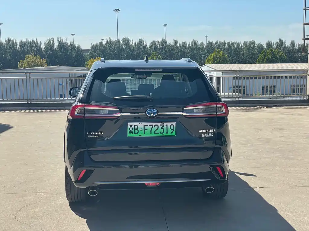 TOYOTA WEILANDA NEW ENERGY