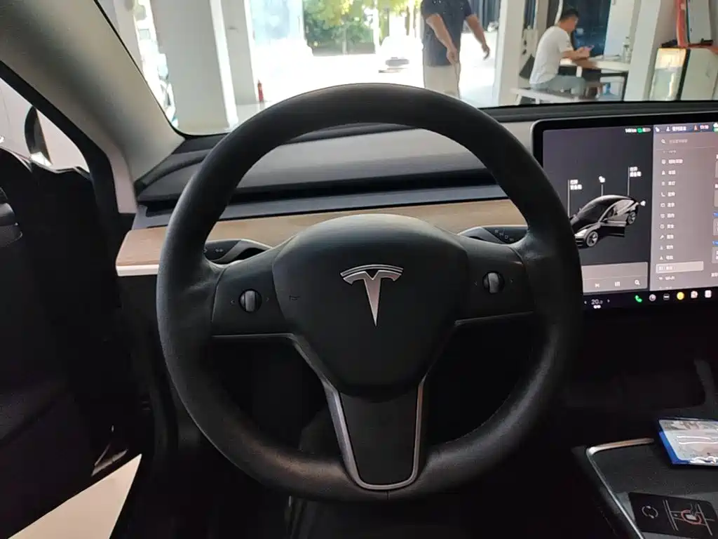 Tesla Model 3 — миниатюра 11