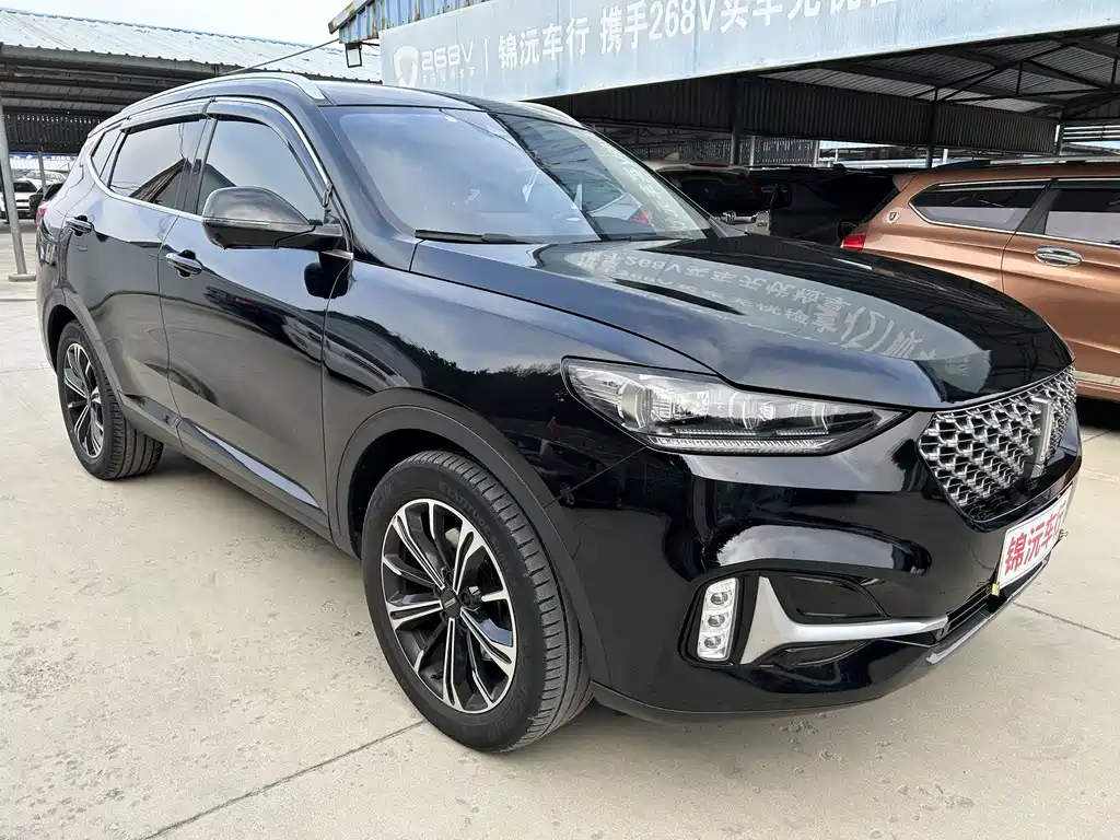 WEI PAI WEI BRAND VV6