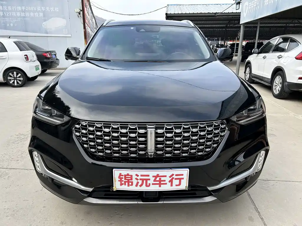 WEI PAI WEI BRAND VV6