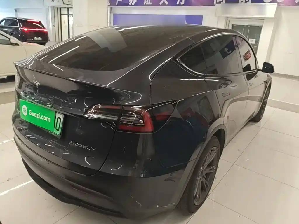 Tesla Model Y — миниатюра 7