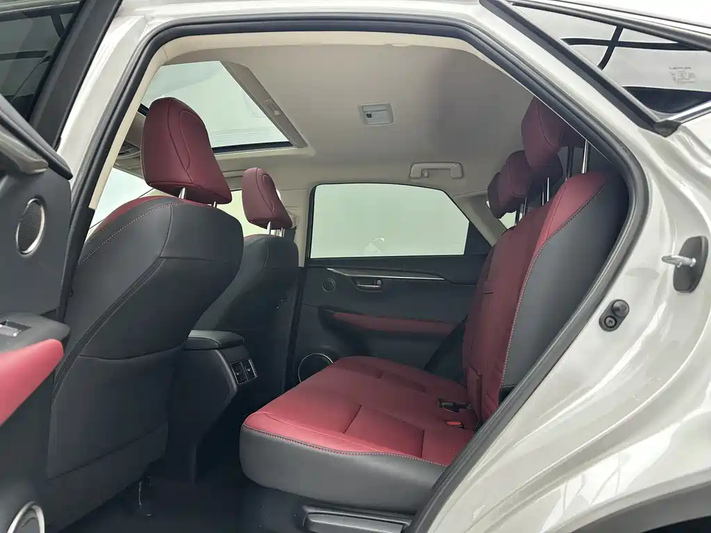 Lexus NX 2020 200 VI