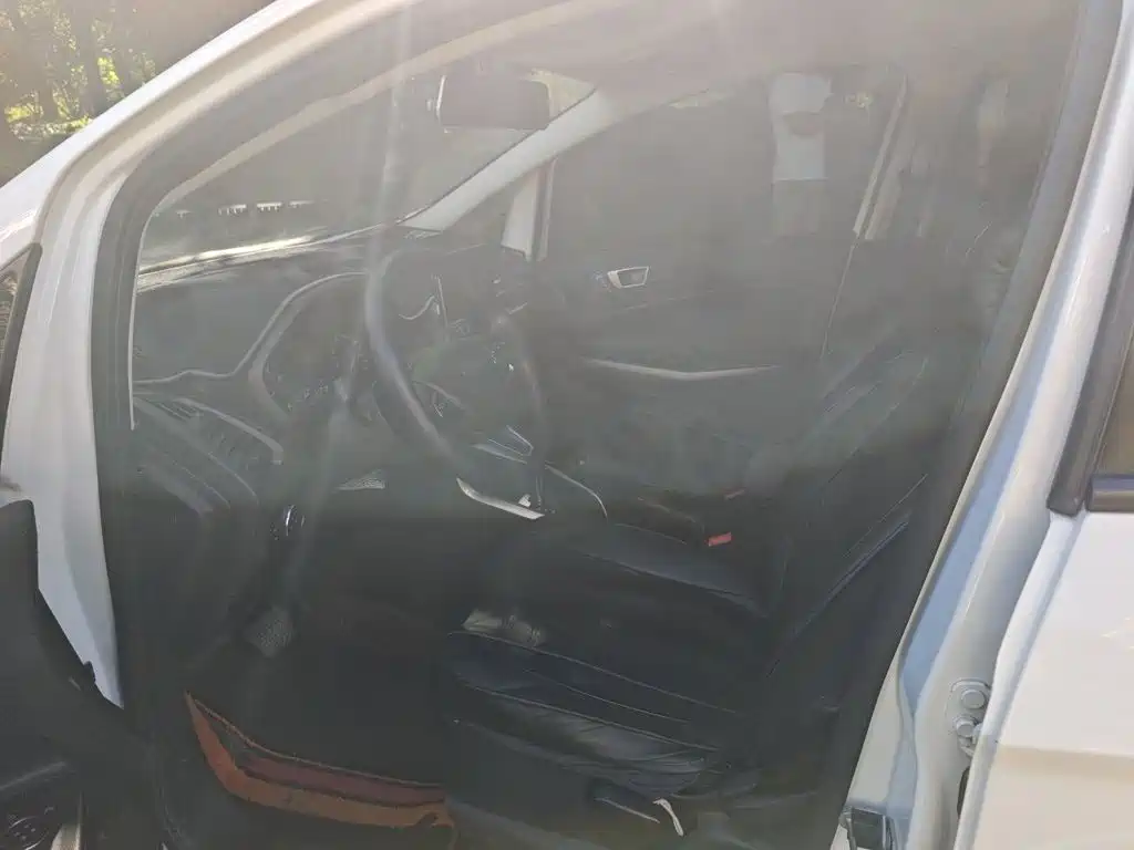 Ford Ecosport — миниатюра 8