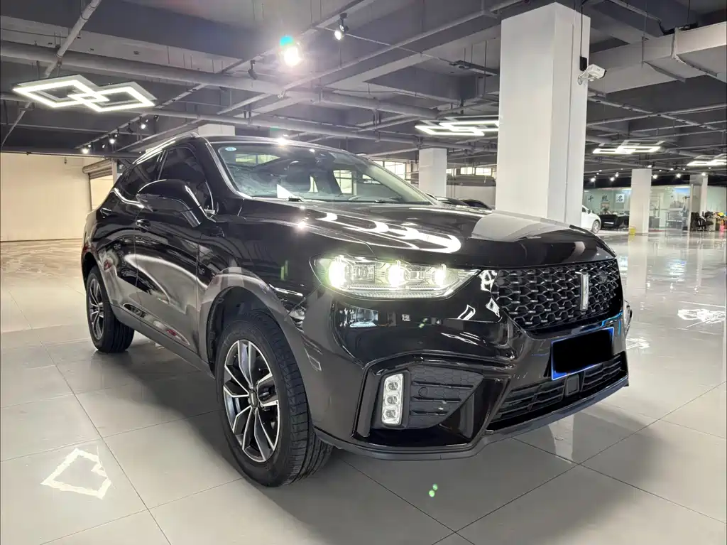 WEI PAI WEI BRAND VV5