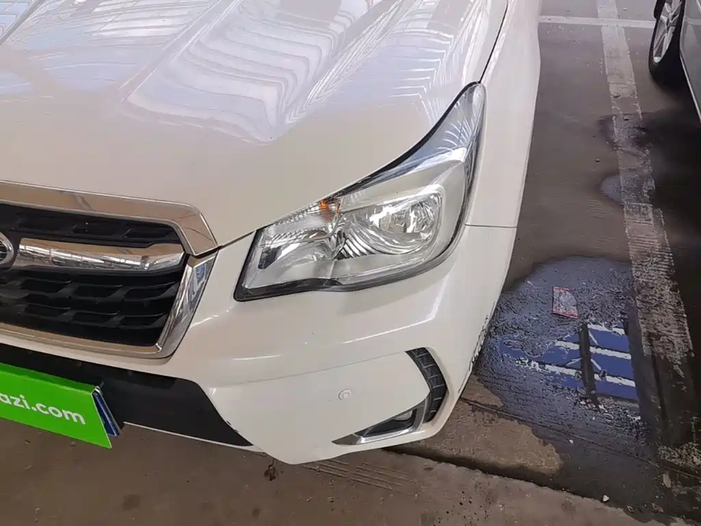 Subaru Forester — миниатюра 24