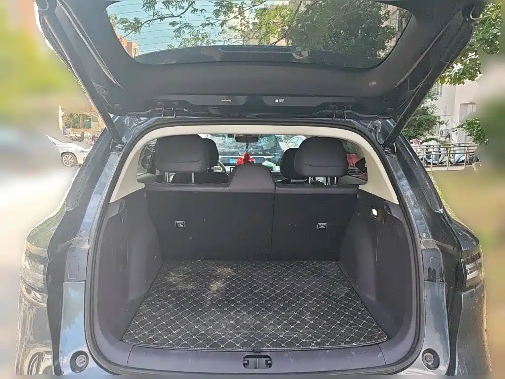 Leapmotor Leapmotor B10 — миниатюра 15
