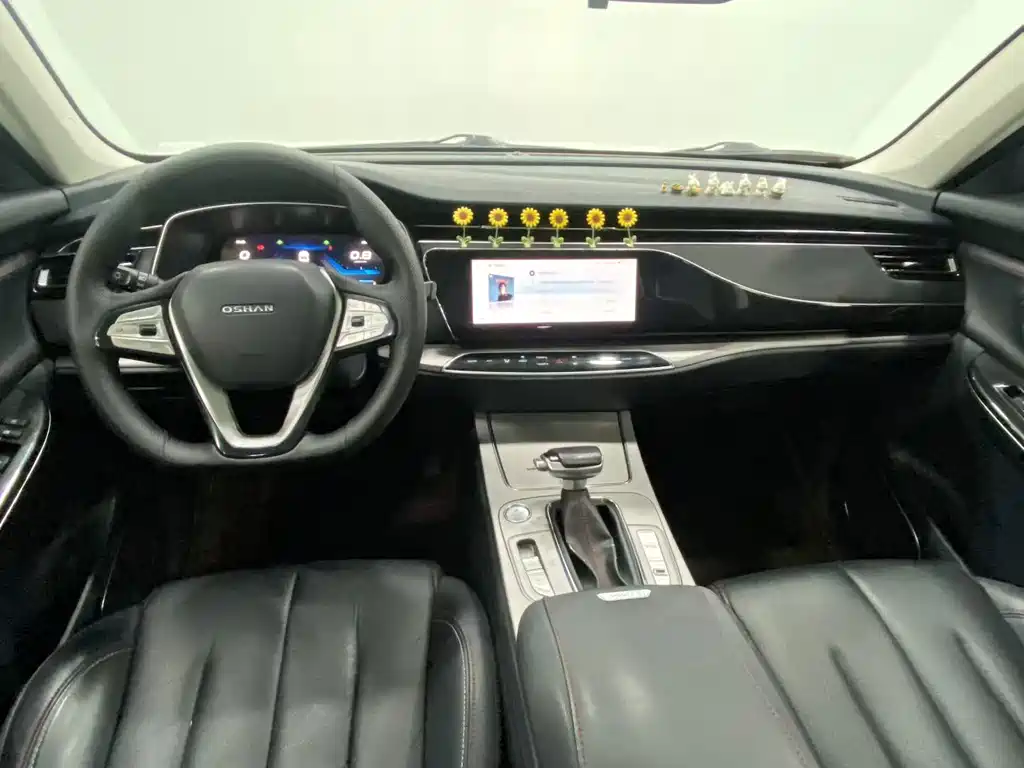Oshan Oushang X7 — миниатюра 6