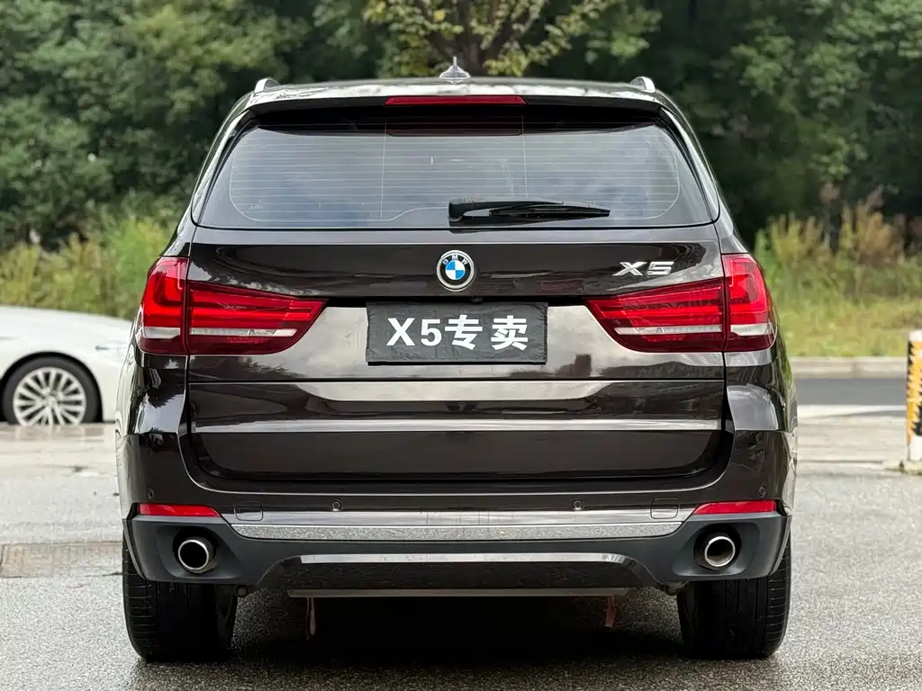 BMW X5 (Import) — миниатюра 5